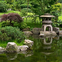 ​باغ سازی ژاپنی